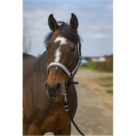 Licol EQUITH?ME "Nylon Check"