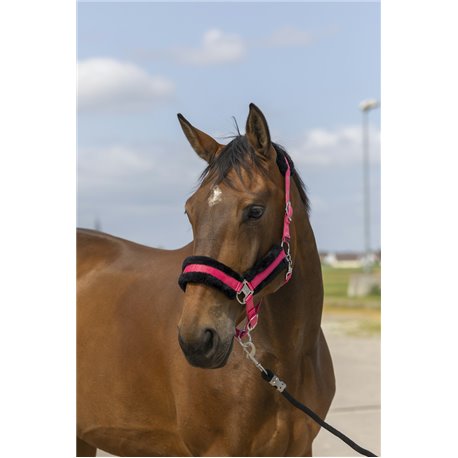 Licol EQUITH?ME "Nylon Mouton"