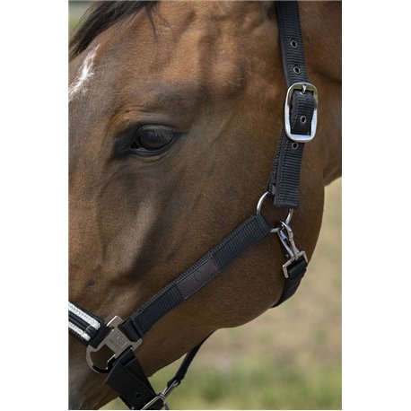 Licol EQUITH?ME "Nylon Chevron"