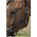 Licol EQUITH?ME "Nylon Chevron"