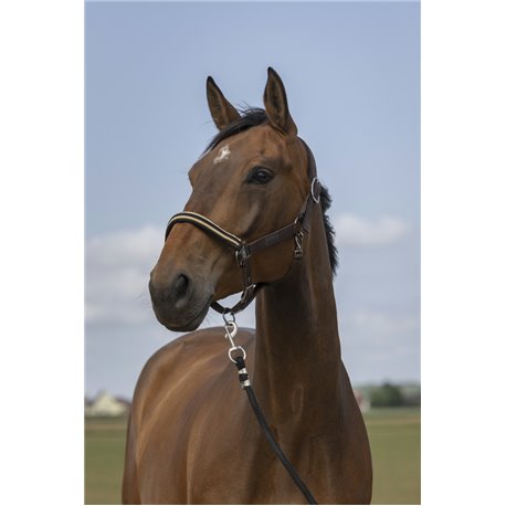 EQUITH?ME ?Nylon Chevron" Halfter