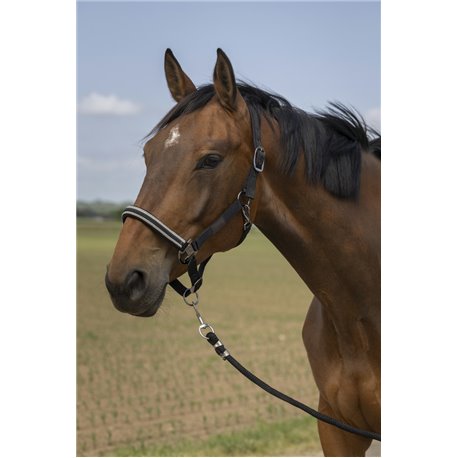 Licol EQUITH?ME "Nylon Chevron"