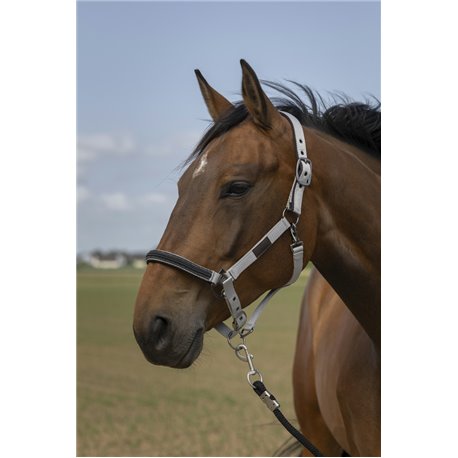 EQUITH?ME ?Nylon Chevron" Halfter