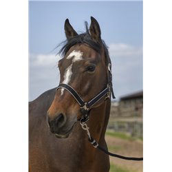 Licol EQUITH?ME "Nylon light"