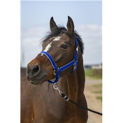 Licol EQUITH?ME "Nylon light" 2