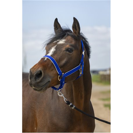 EQUITH?ME ?Nylon light" Halfter