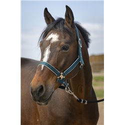 Licol EQUITH?ME "Nylon light" 2