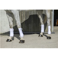 Bandes de polo RIDING WORLD "Eco" 2