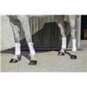 Bandes de polo RIDING WORLD "Eco"