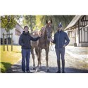 Blouson Laffitte PADDOCK