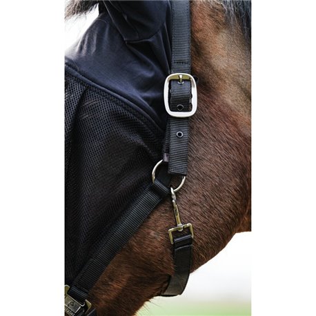 Licol + masque EQUITH?ME