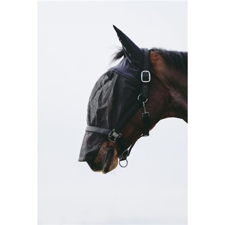 Licol + masque EQUITH?ME
