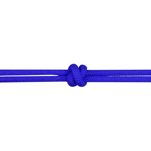 Licol ?thologique avec r?nes 2