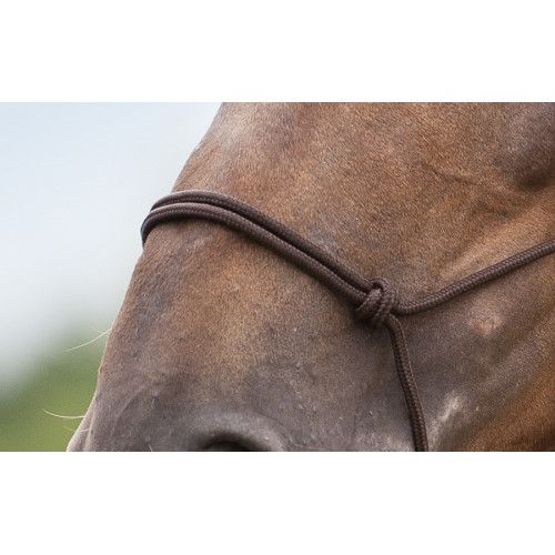 Licol ?thologique doux 2