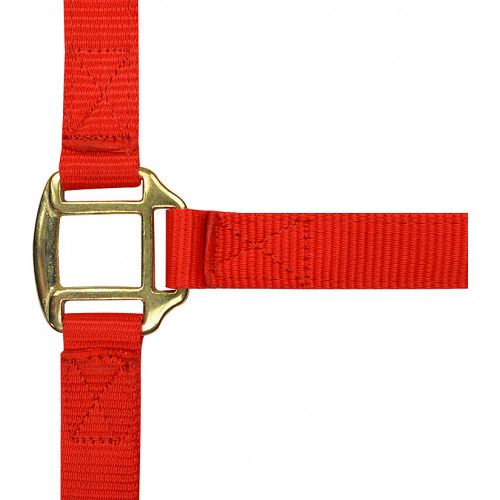 Licol nylon NORTON doubl? cuir 2