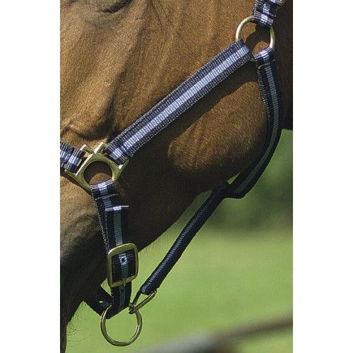 Licol nylon NORTON doubl? cuir 2