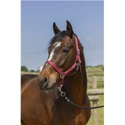 Licol NORTON "Grooming" 2