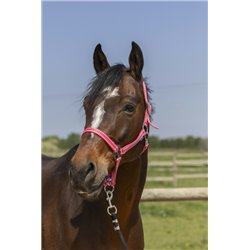 Licol NORTON "Grooming" 2