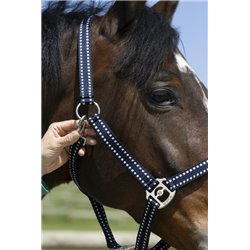 Licol NORTON "Grooming" 2