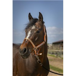 Licol NORTON "Nylon Soft" 2