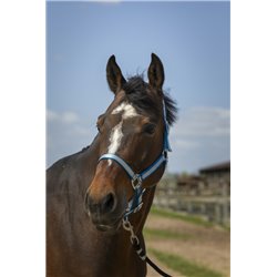 Licol NORTON "Nylon Soft" 2