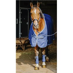 Set complet RIDING WORLD 2