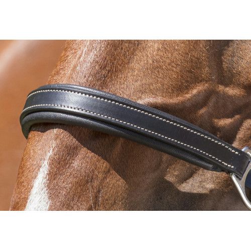 Licol cuir NORTON PRO "Grooming" 2