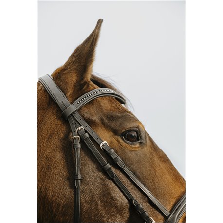 Bridon NORTON CLUB "Strass V"