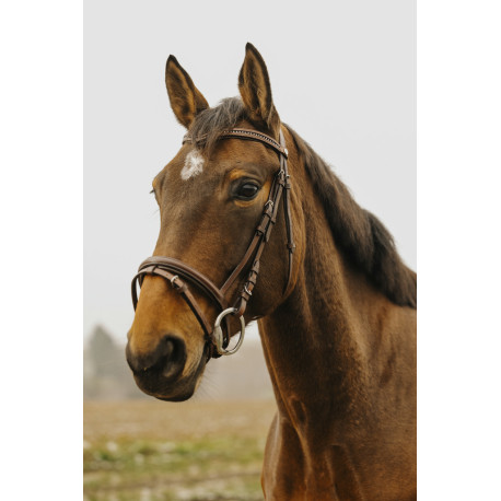 Bridon NORTON CLUB "Strass V"