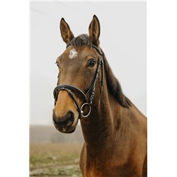 Bridon NORTON CLUB "Square"