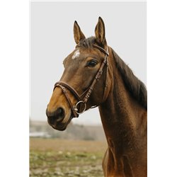 Bridon NORTON CLUB "Square" 2