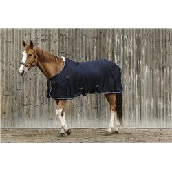 Chemise EQUITHEME Micro mesh