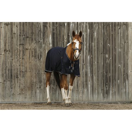 Chemise EQUITHEME Micro mesh