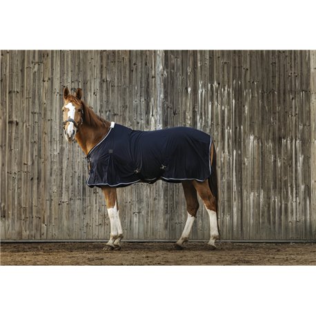 Chemise EQUITHEME Micro mesh
