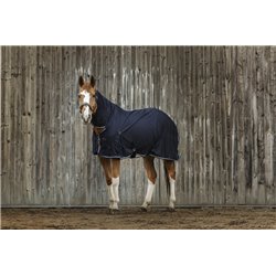 Chemise EQUITHEME Micro mesh combo