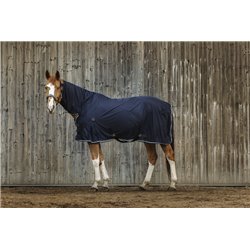 Chemise EQUITHEME Micro mesh combo 2