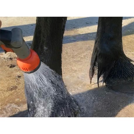 Shampooing ANIMADERM "Tea Tree"