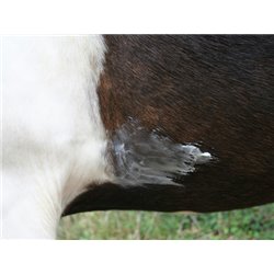 Baume ANIMADERM "Natjely" 2