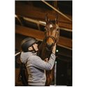 Casque EQUITHEME "Agris"