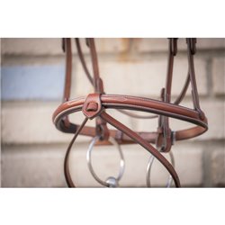 Bridon "Hunter US" PENELOPE 2