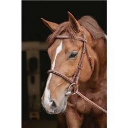 Bridon "Hunter US" PENELOPE