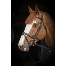 Bridon "Oxford Performance" PENELOPE