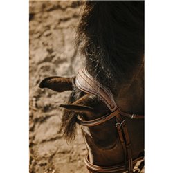 Bridon ERIC THOMAS "Crown" 2