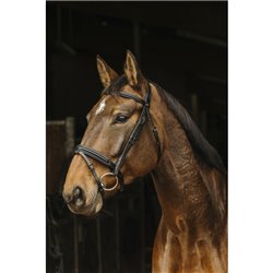 Bridon NORTON "Apophyse"