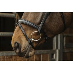 Bridon NORTON "Dark" 2