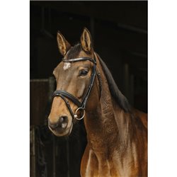 Bridon NORTON "Galon"