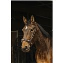 NORTON Trensenzaum "Hackamore"