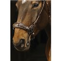 NORTON Trensenzaum "Hackamore"