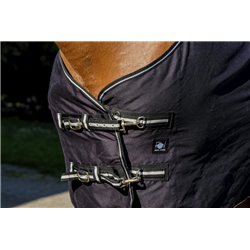 Chemise brillante RIDING WORLD 2