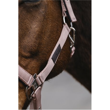 Licol nylon EQUITHEME "Spring"